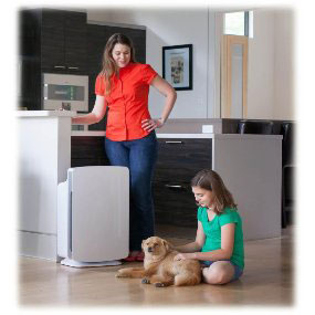 dust and pet hair air cleaner
