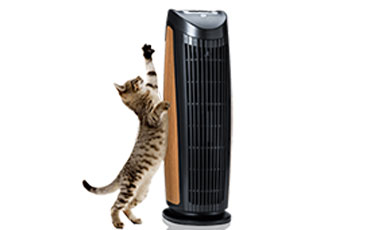 Best air purifier for pet hair and dander