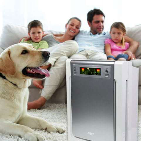 13 Best Air Purifiers for Pets 