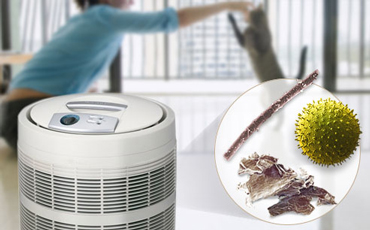 best purifier for allergies